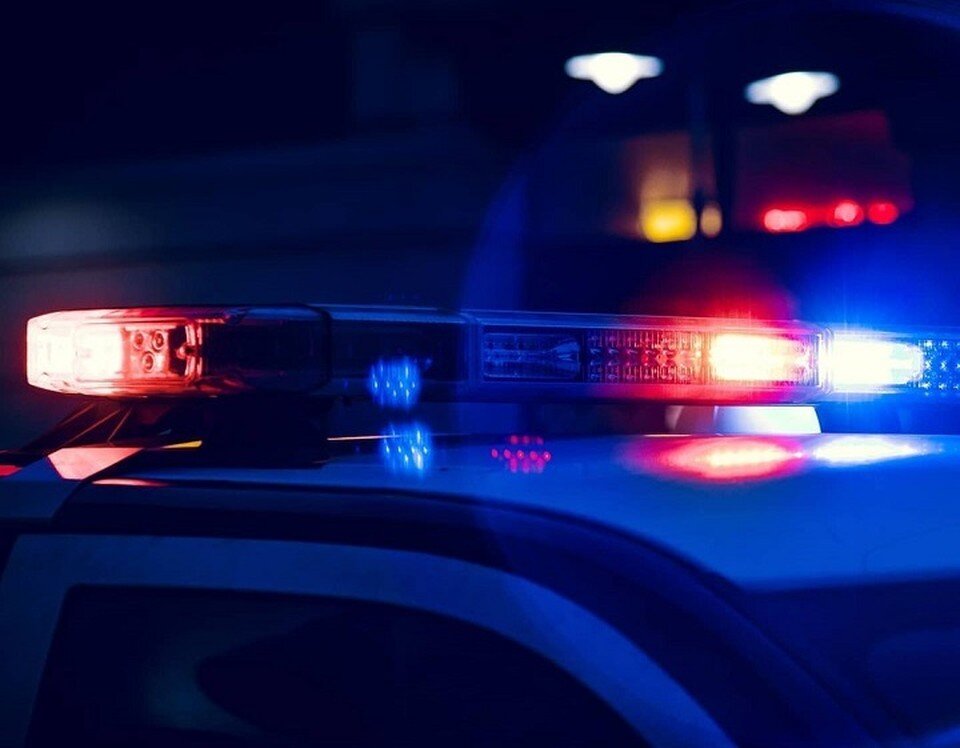     Серьезная авария произошла из-за собаки