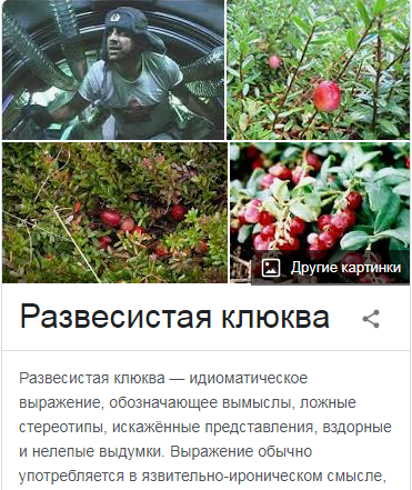 Куда пропала меган фильм
