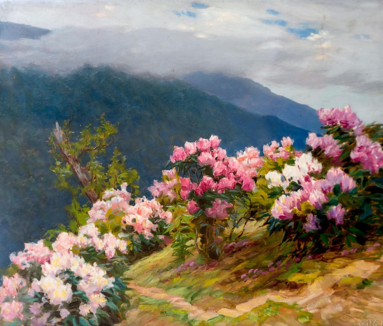 ������ ������