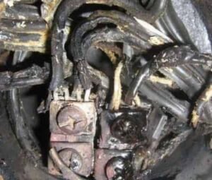 Почему срабатывает УЗО: причины ложного срабатывания защиты