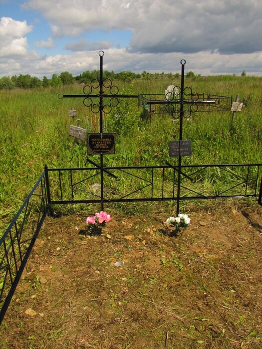 Вид могилы в конце июня 2014 года