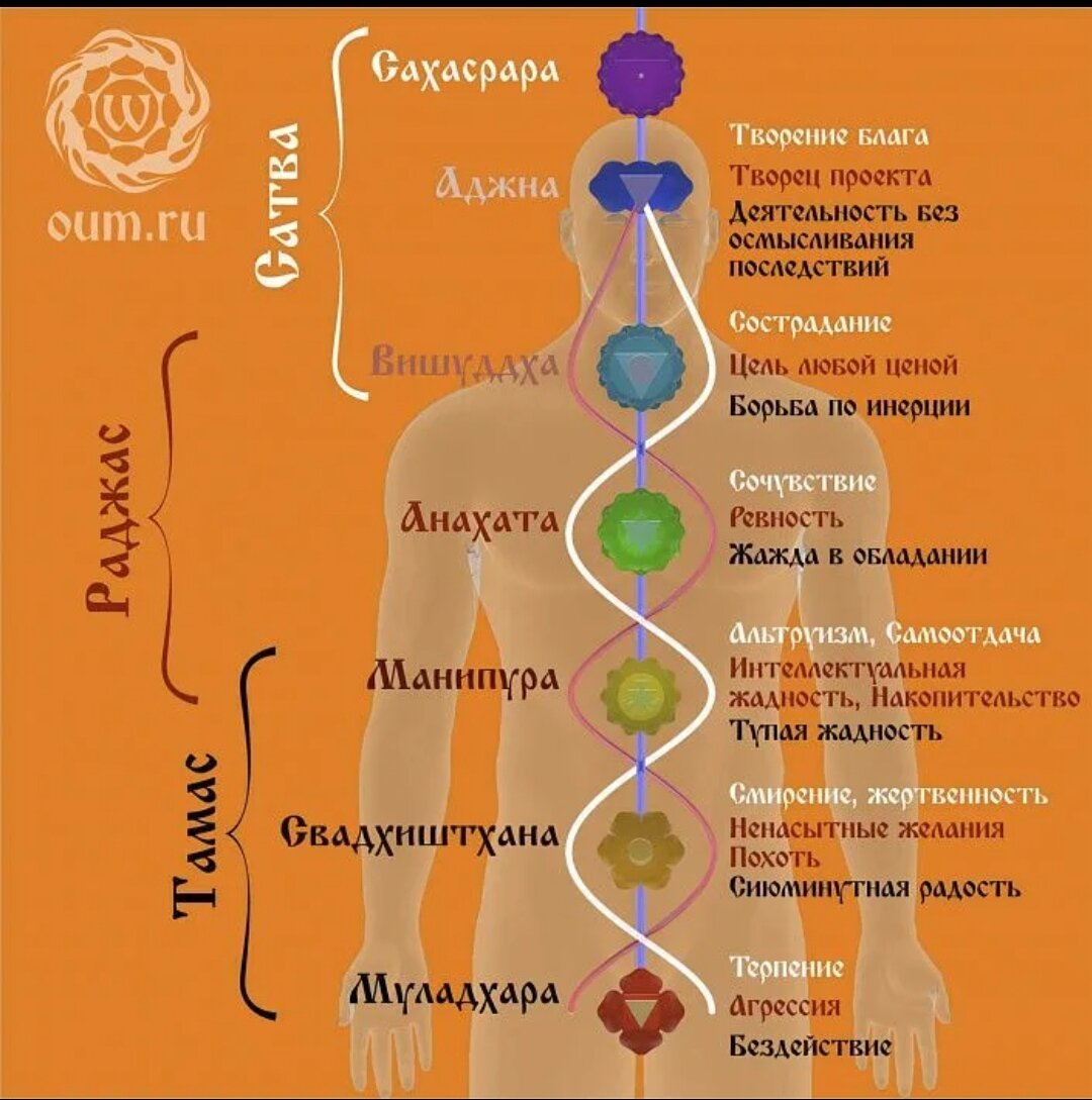 Картинка из открытого источника. 