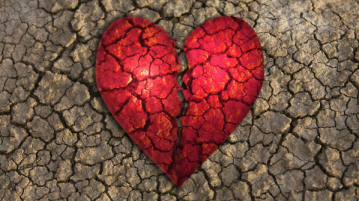 Яндекс-картинки