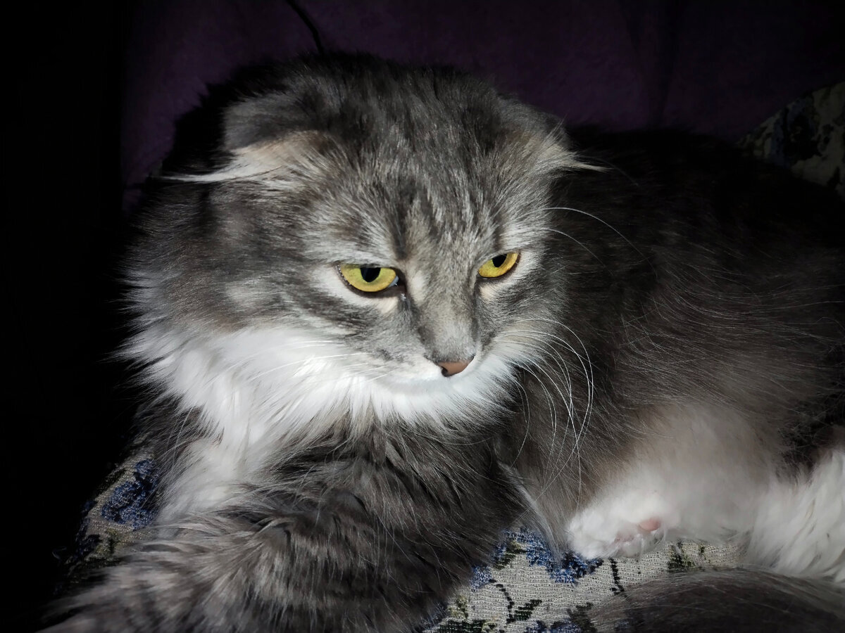 Добавьте описание