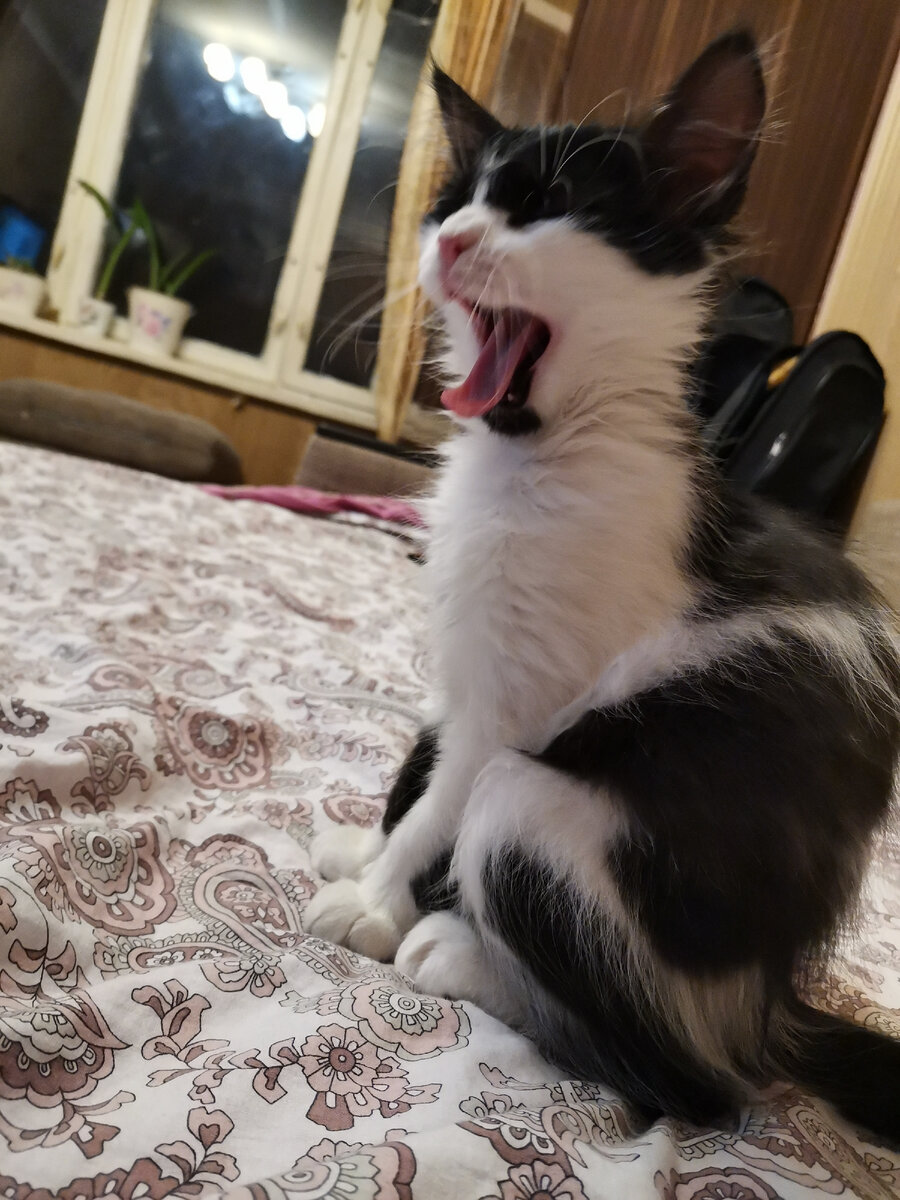 Наш Марсель в детстве.