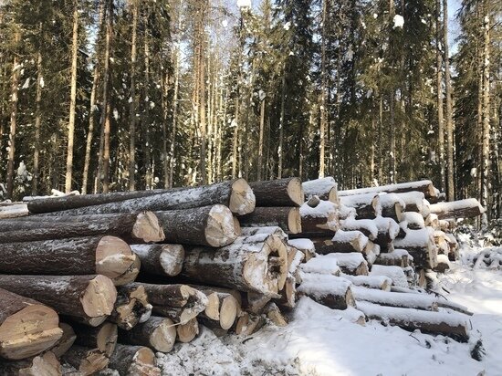     фото пресс-службы кенозерского национального парка