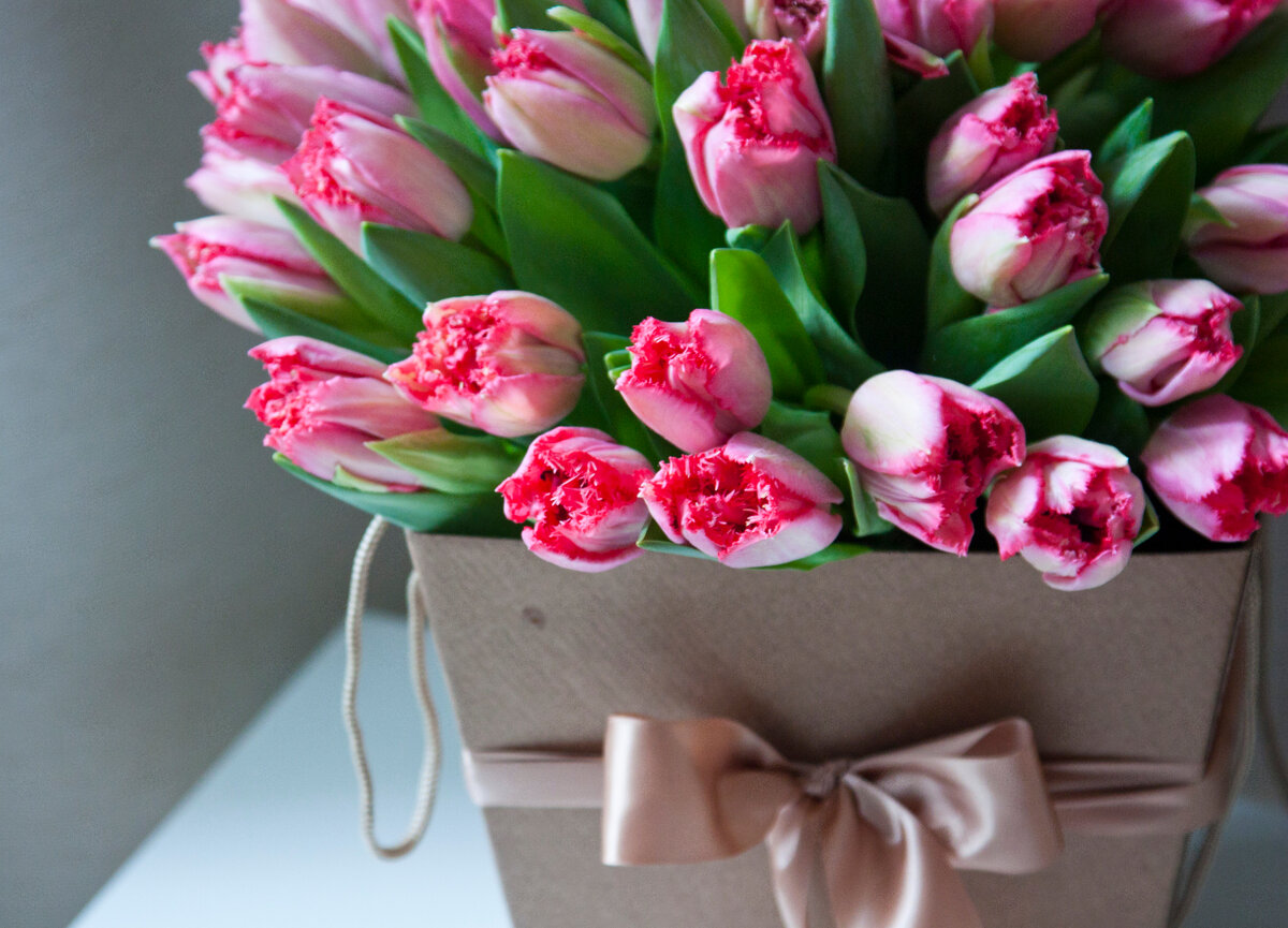    По всей Югры проходят праздничные мероприятия в честь 8 марта