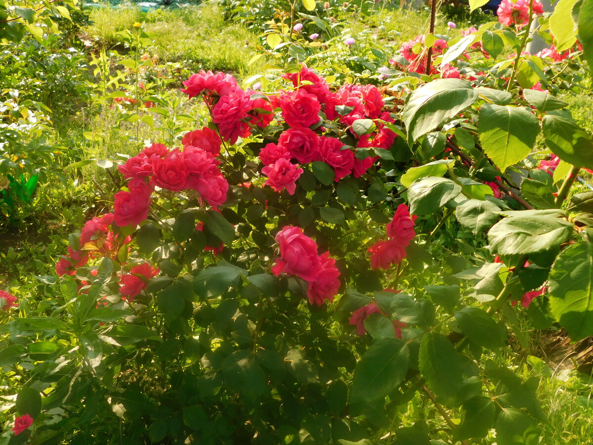 Фото автора канала