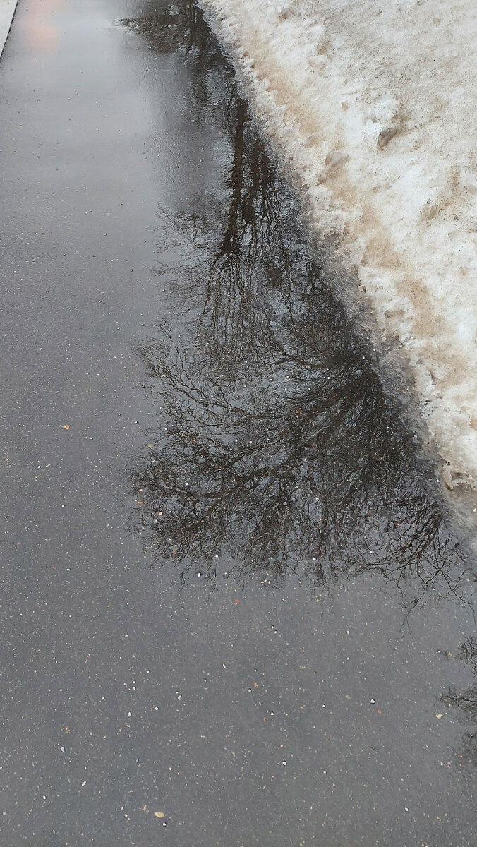 Отражения весны