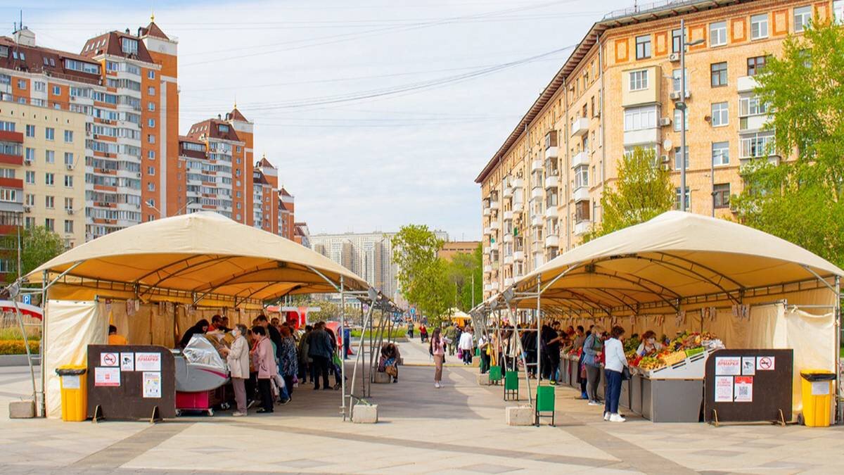    Фото: Официальный сайт мэра Москвы