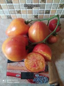 из Интернета