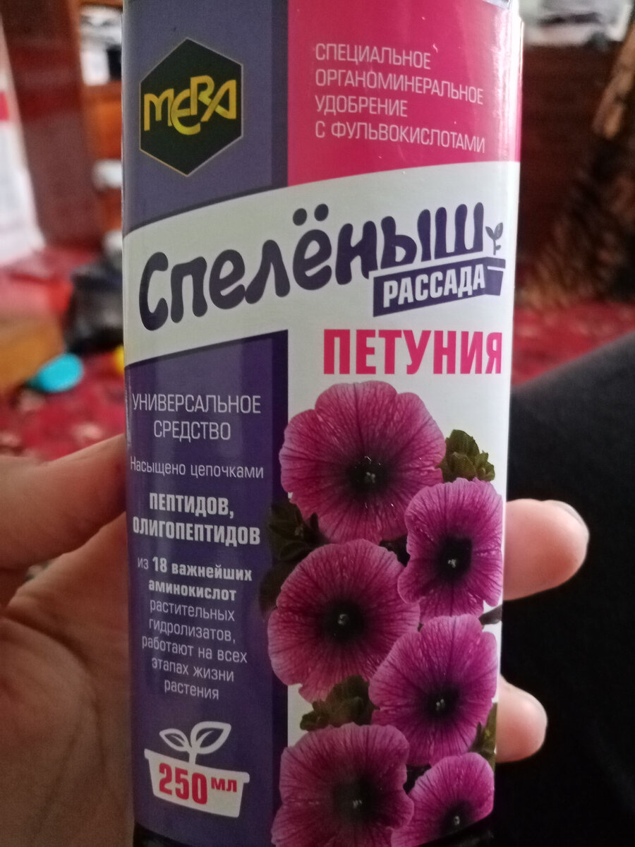 Чем заменить петунию