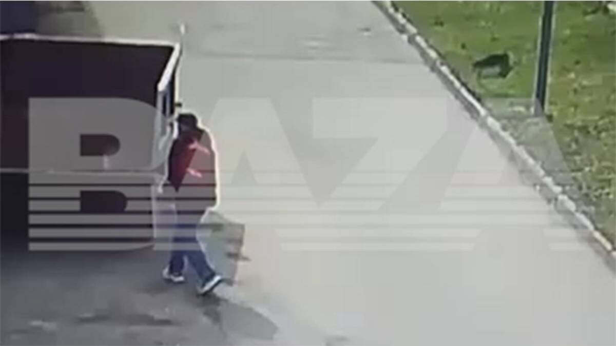    Фото: Telegram / Baza