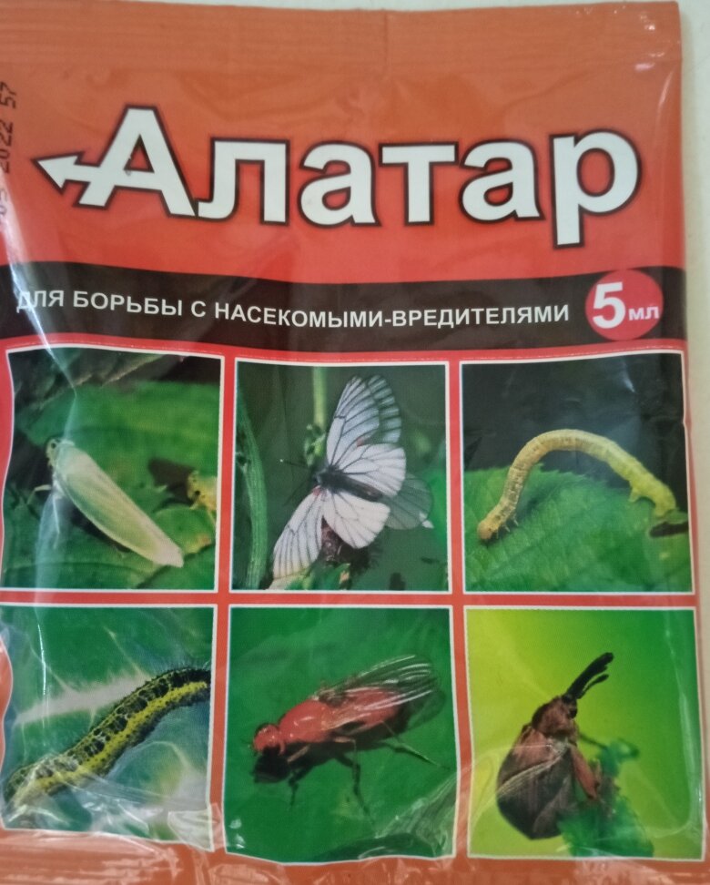 Алатар двойная мощь 5мл инструкция по применению. Алатар. От вредителей Алатар. Алатар для сада от насекомых-вредителей. Алатар от тли на розах.