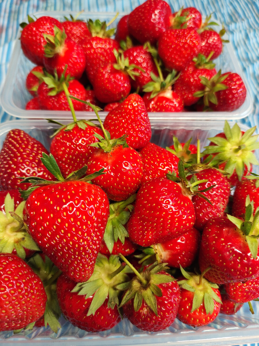 Мурано и Альбион микс