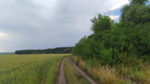 Заброшенная деревня Сухаревка. Всё брошено