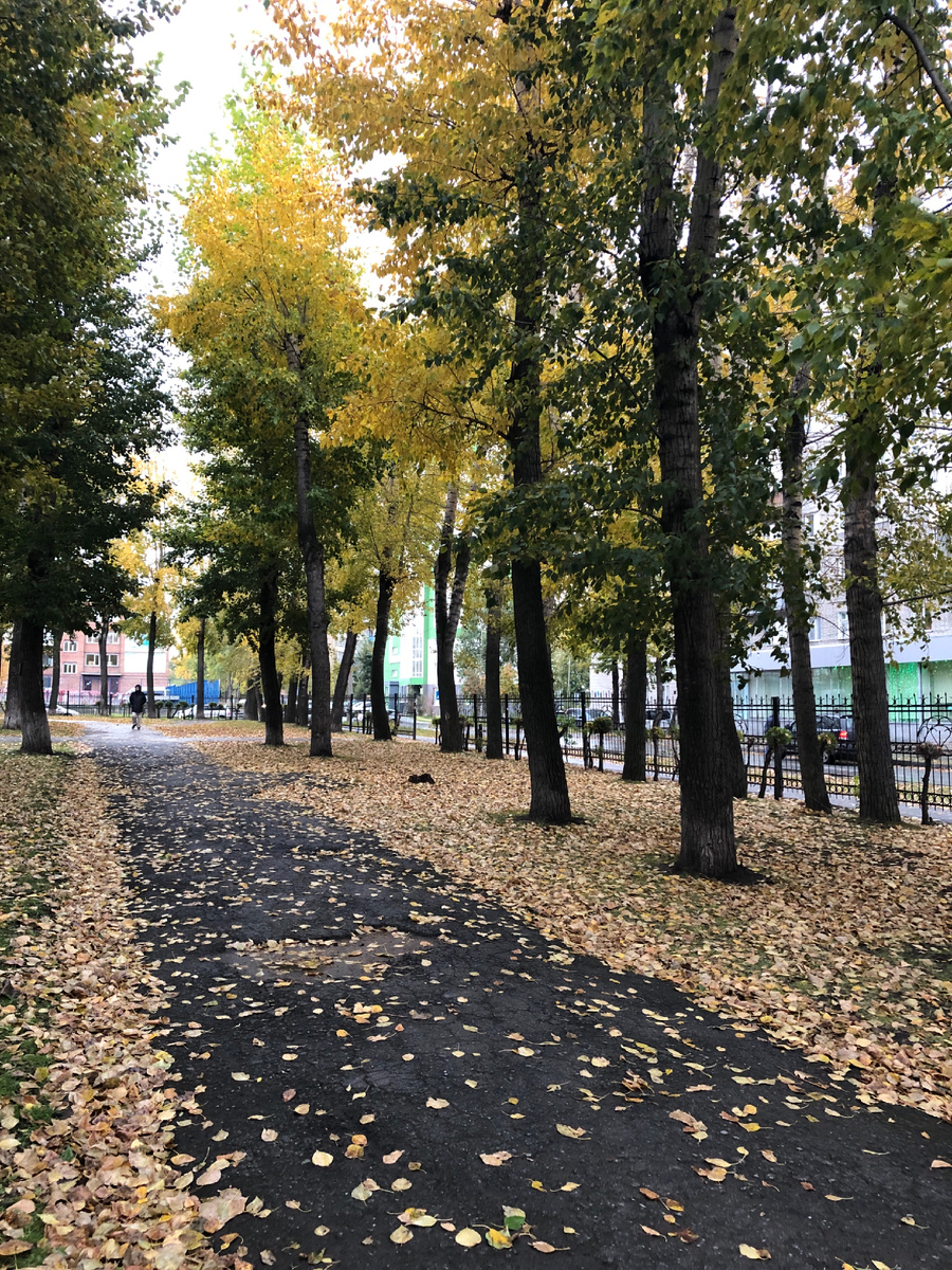 Мне так нравятся эти дорожки в листьях. Фото автора