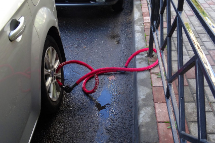 Пристегнутый автомобиль