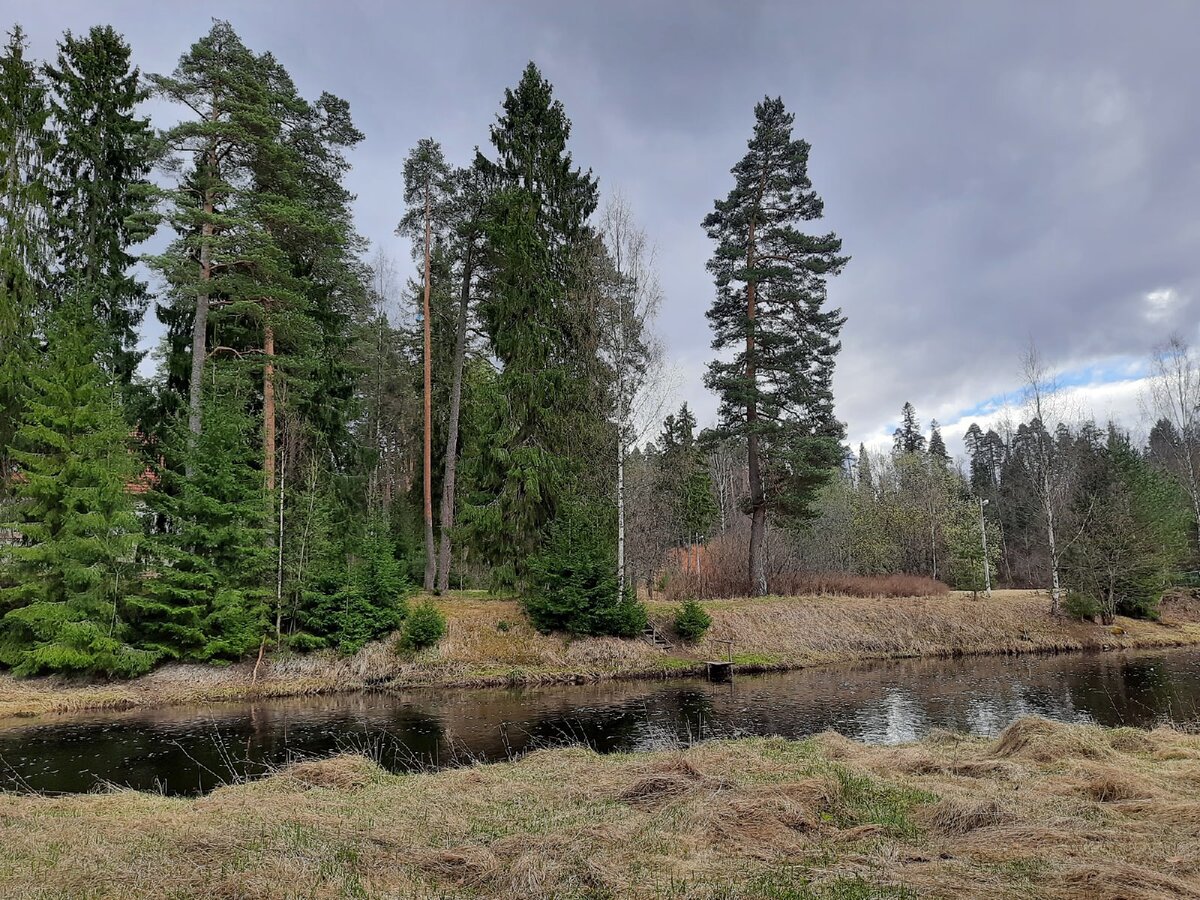 река Оредеж