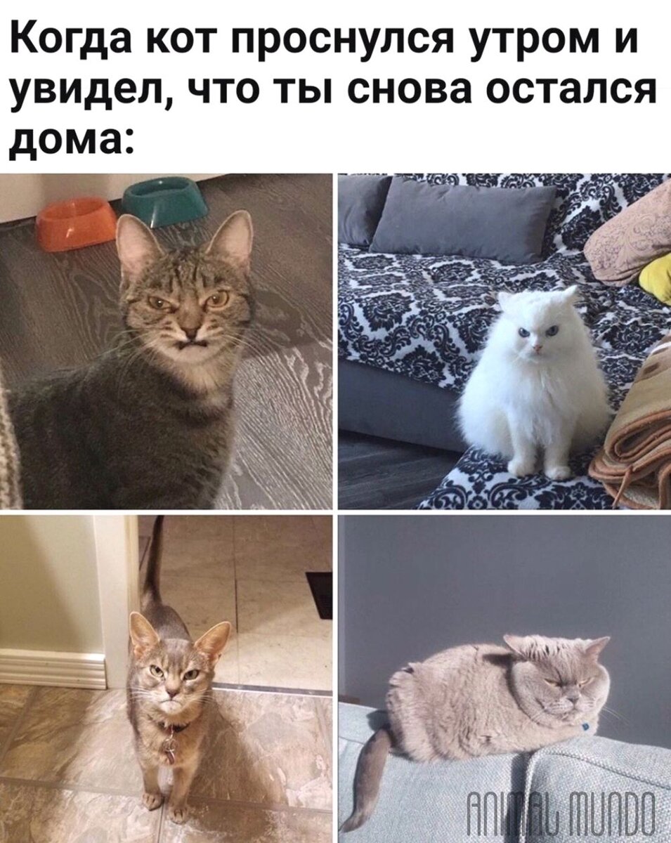 -2-2