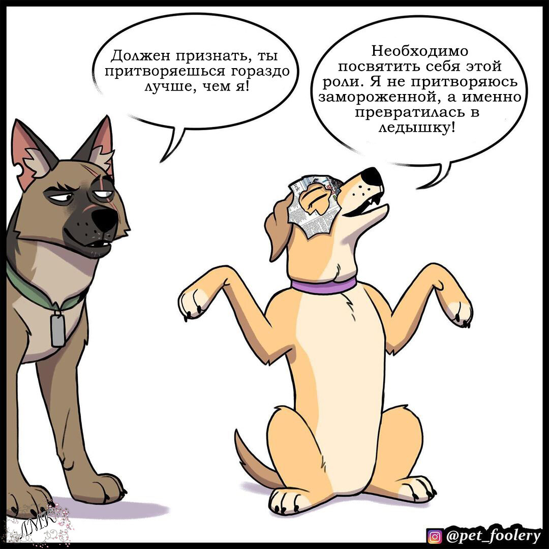 Comic pet. Pet_Foolery комиксы Пикси и Брутус. Pet Foolery брут и Пикси. Комикс про овчарку и котенка. Котёнок Пикси и пёс брут.