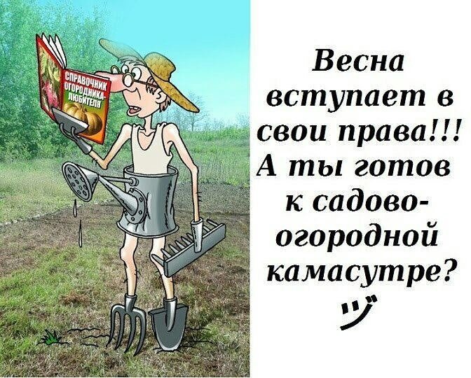 Картинки с юмором про огород и дачу