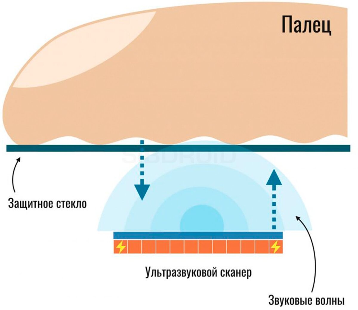 Сканер отпечатков пальцев сбоку (емкостный). Оптический сканер отпечатка пальца jm - 101b. Датчик отпечатков пальцев. Samsung galaxy a10 fingerprint. Оптический сканер отпечатков пальцев fs81h.