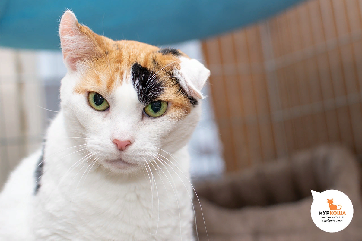 Лара Крофт, 3 года