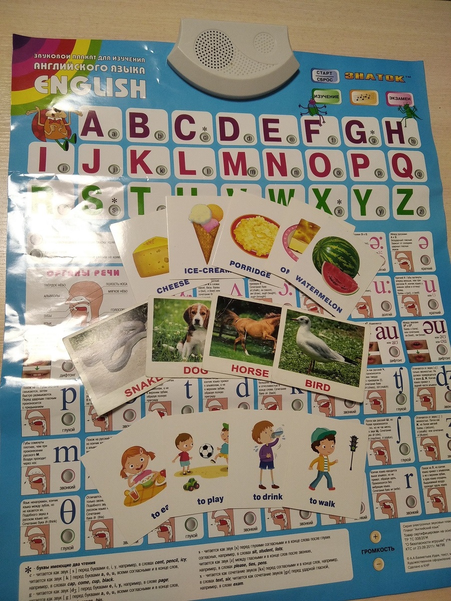 Яркие картинки - помощь на уроках.