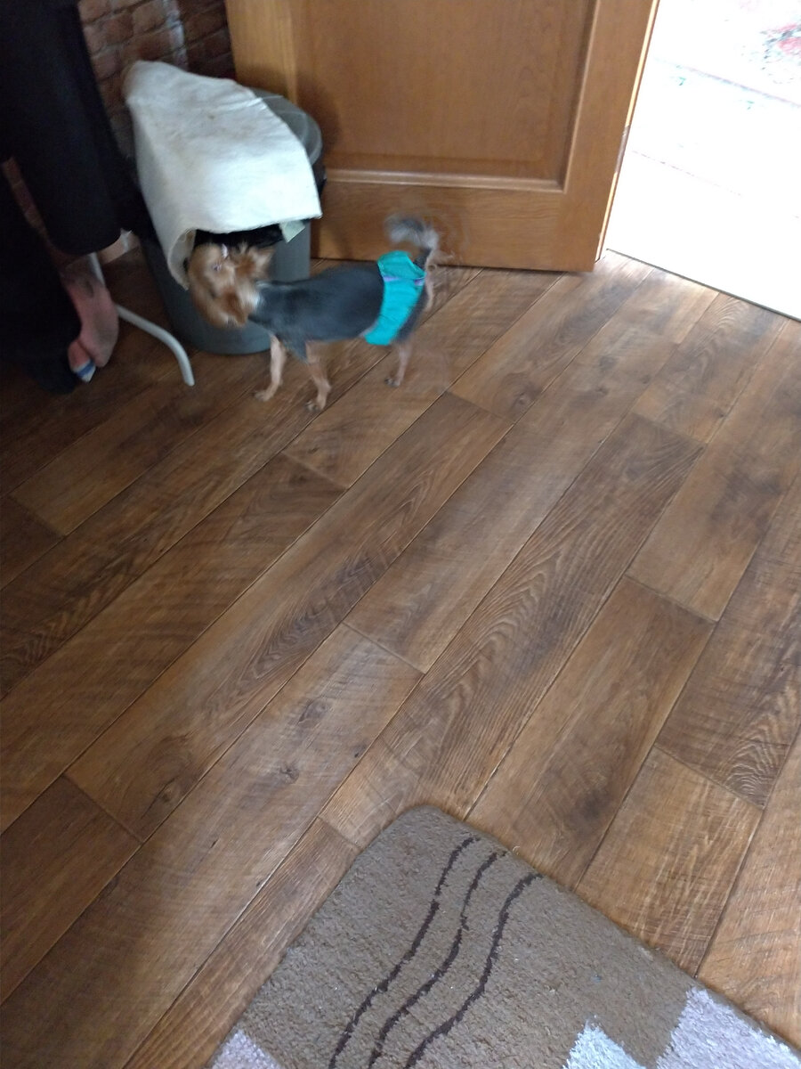 Муж сначала заявил: "Сделали девочку!" А потом оценил в полной мере способ обеспечения спокойствия.