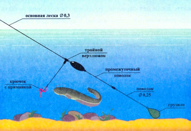 Устройство донки с кормушкой на сома, леща, карася. Видео - Журнал о рыбаках и рыбалке