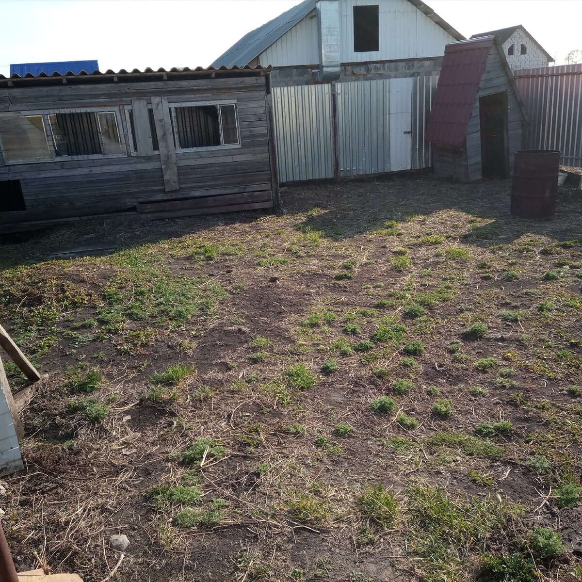 После. Муж по прежнему борется с сухой травой 