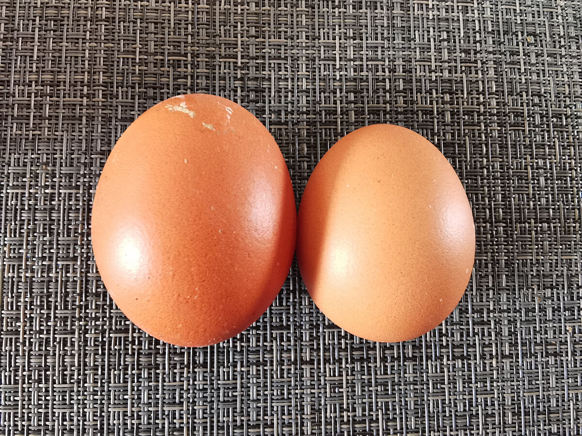 Яйца с2 лучше с0. Яйца с0 с1 с2. C0 c1 c2 яйца. Яйца 1 сорт. Столовое яйцо.