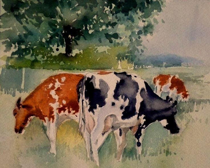 Яндекс картинки