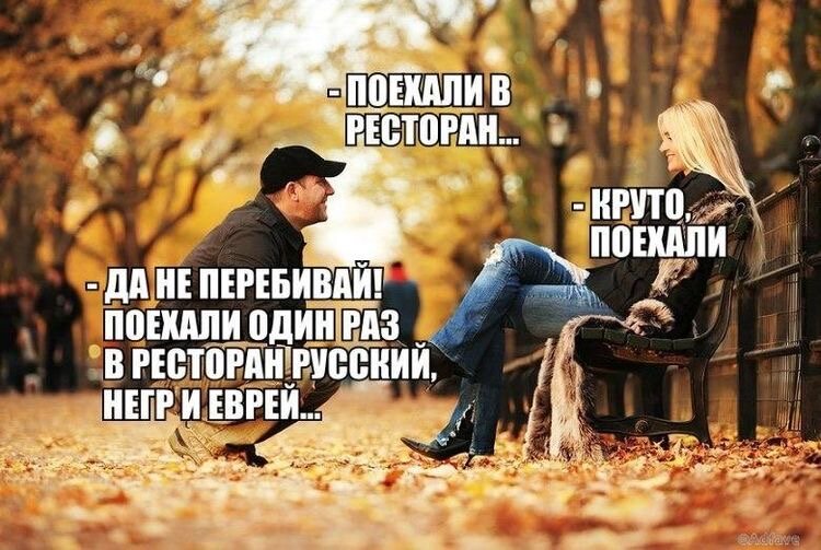 Яндекс картинки 