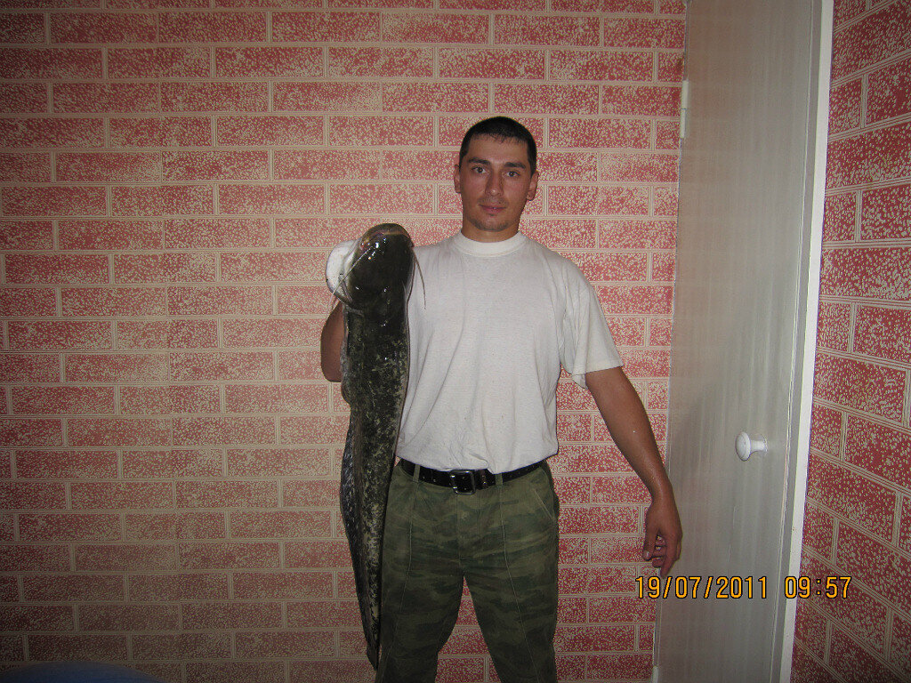 Было лето. На днях ездил на рыбалку на подпуска ловил леща , и осталась прикормка из каш. Домой приехал убрал в холодильник чтоб не прокисла. Но увы прокисла на следующий день . Деваться некуда поехал с кислой кашей. День был жаркий. В этот день ни у меня, ни у мужиков лещь не клевал вообще. Но на кислятину отозвались сомы. Первая поклевка и удилище в пол. Подсекаю, а он не подсекается . На катушке с дрожащими руками открываю стопор . Оставшиеся 10 м. лески разматывает, как подводная лодка, не остановить. И всё ! Чпок, разорвал поводок 0.3. Я в шоке! Мужики на меня смотрят: "Это -говорят- самёнок !". А я их ни разу не ловил. Ну ладно, перевязал. Мандраж прошёл . И через десять минут вторая поклевка на другое удилище . И вот он 5 кг. 83 см. Тягался с ним в страхе минут, наверное 10 . ) Взял сачком , положил в лодку, а сам боюсь его взять, чудовище усатое. Но на тот момент он уже обессилил, не дергался. ) Ну ладно продолжаю рыбалку больше не клюет.Но у меня и так радости полные штаны!) Перебираюсь на другую сторону может там что будет клевать. Пол часа и поклевка , маленький сомёнок заглотил глубоко, пришлось взять. Дома в соме нашли 3 рака. Значит на кислятину подошли раки, а за ними и сомы! Ловил на Оке, ниже по течению был коряжник . В общем- кислая каша творит чудеса. Знайте !