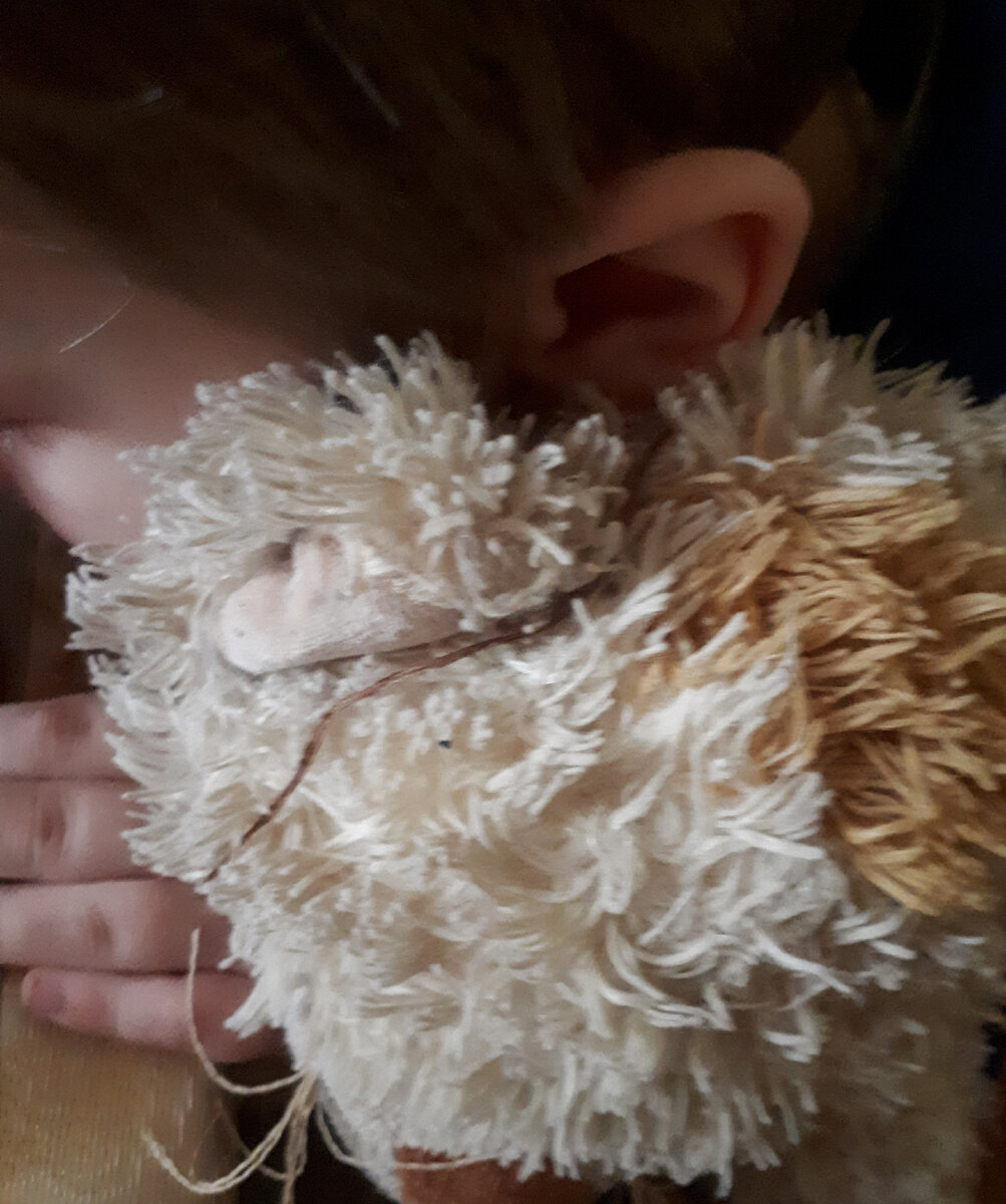 Без любимого мишки младшая сестра не ходила никуда!