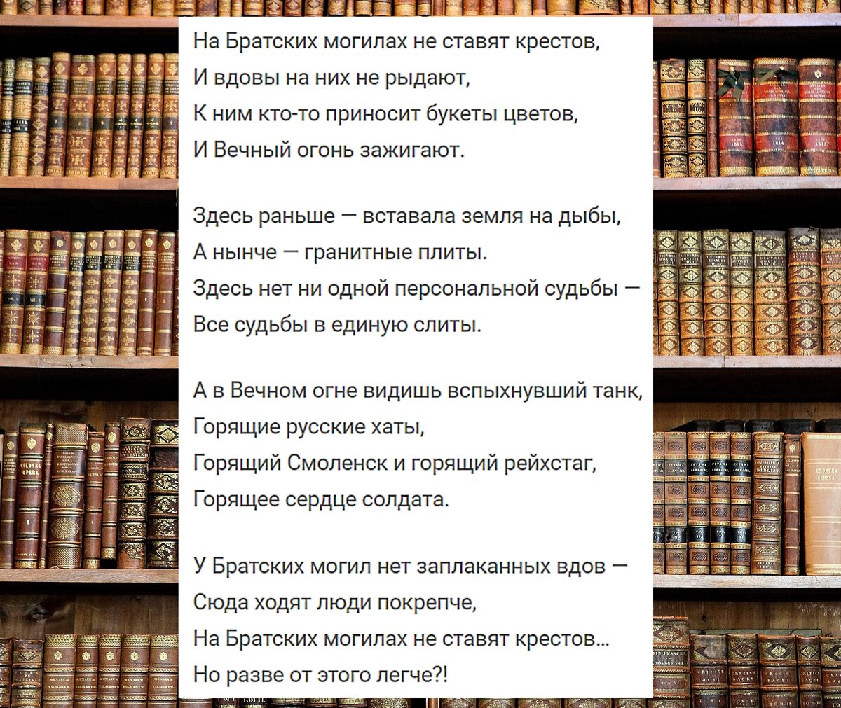 фанфики книжный клуб фото 47