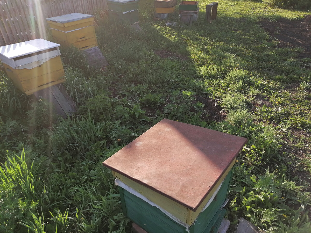 Фото автора.