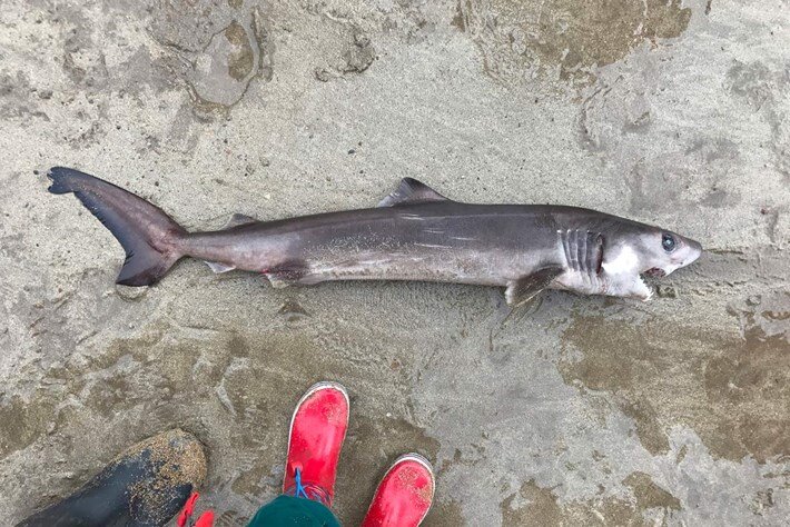 Источник: instagram.com