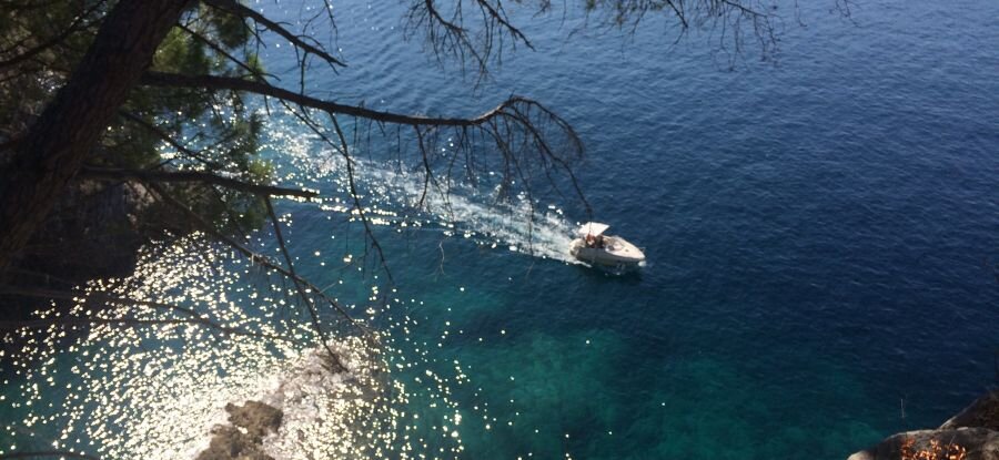                                                   Вид с "тропы здоровья"