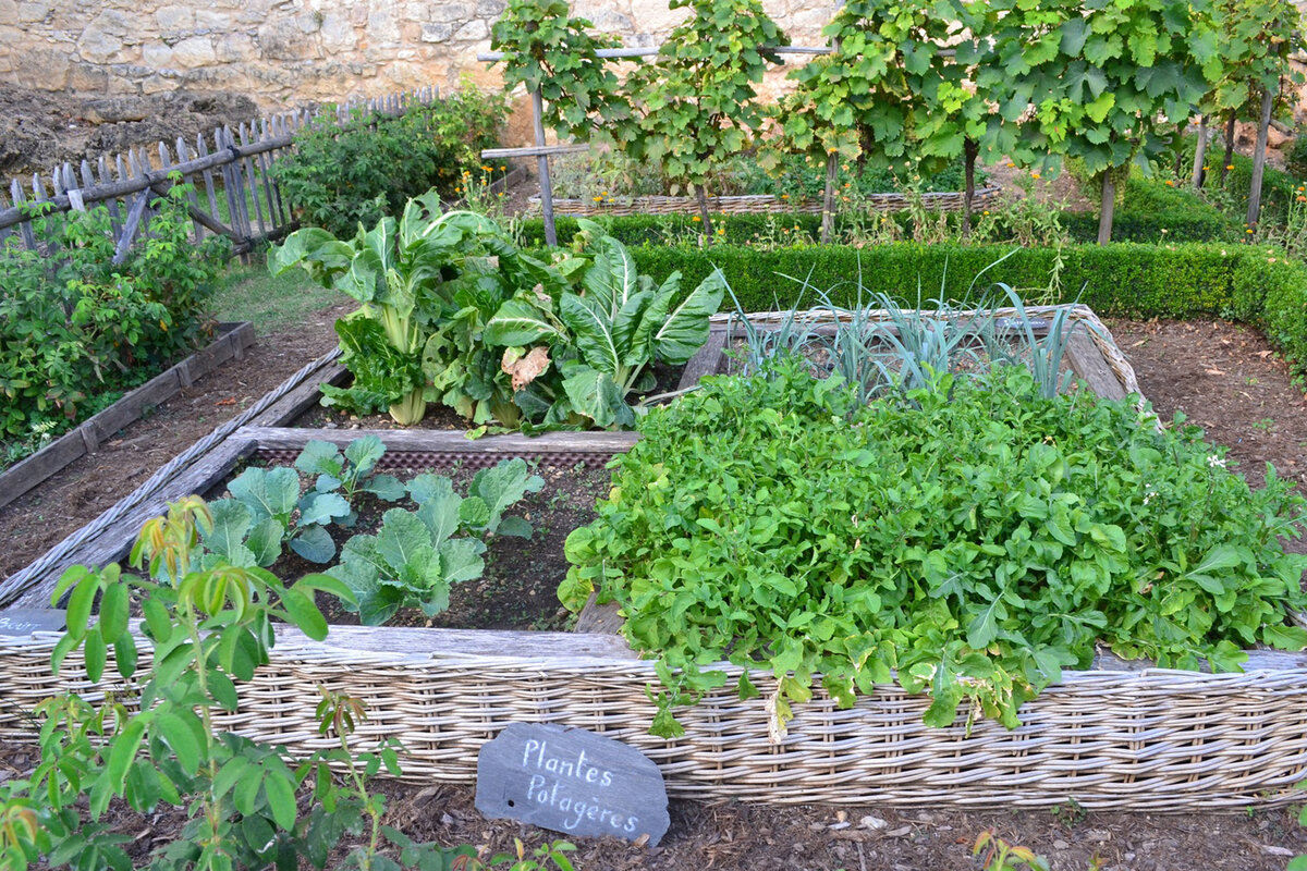 Оформление огорода