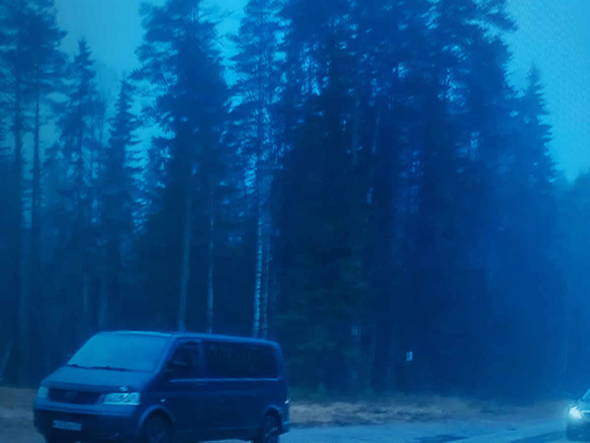 Если бы не старый участковый, преступника не определили.                                                    