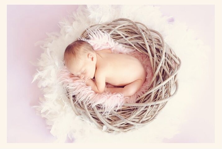 Источник: pixabay.com