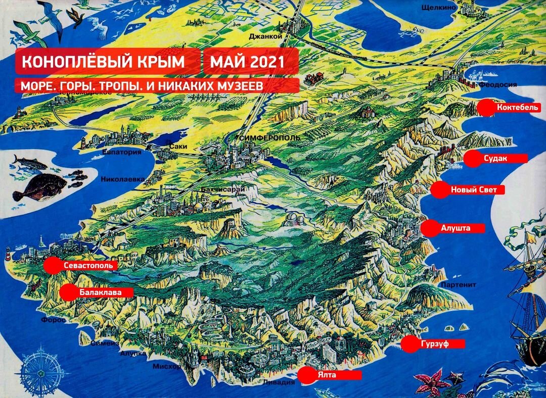 Сменить за 12 дней 5 городов и 5 отелей в Крыму? Почему бы и нет. |  Здоровые путешествия | Дзен