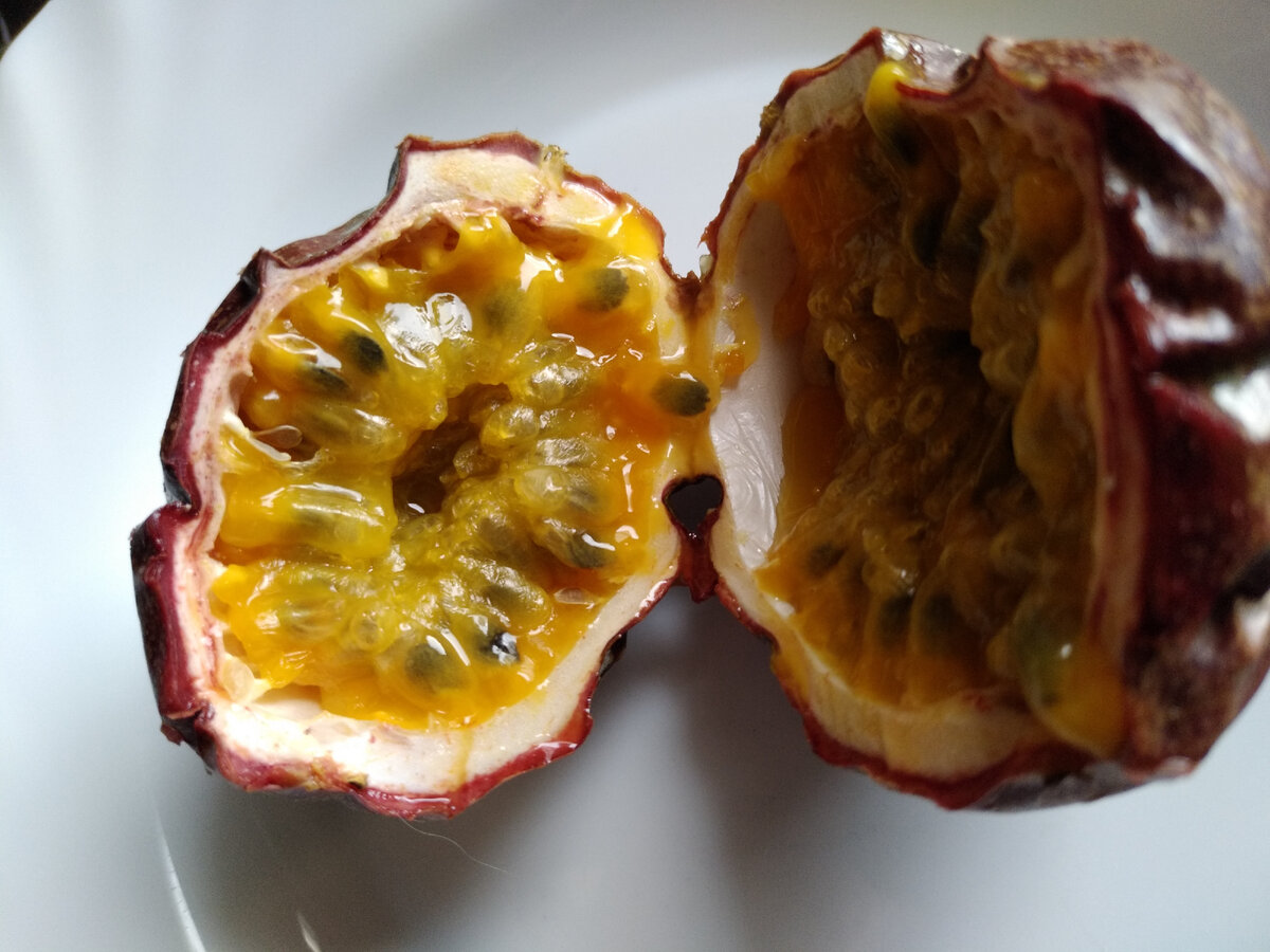 Из него собрала семена