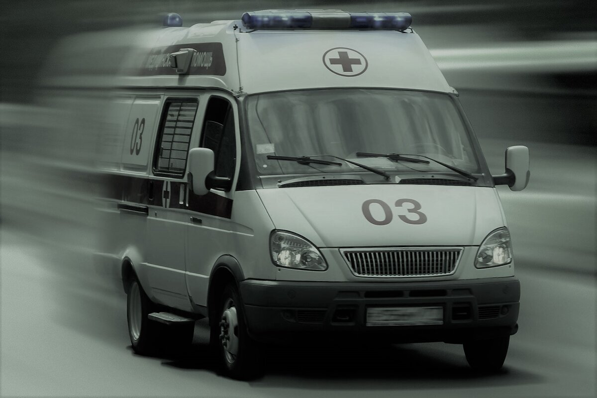 фото из открытого источника