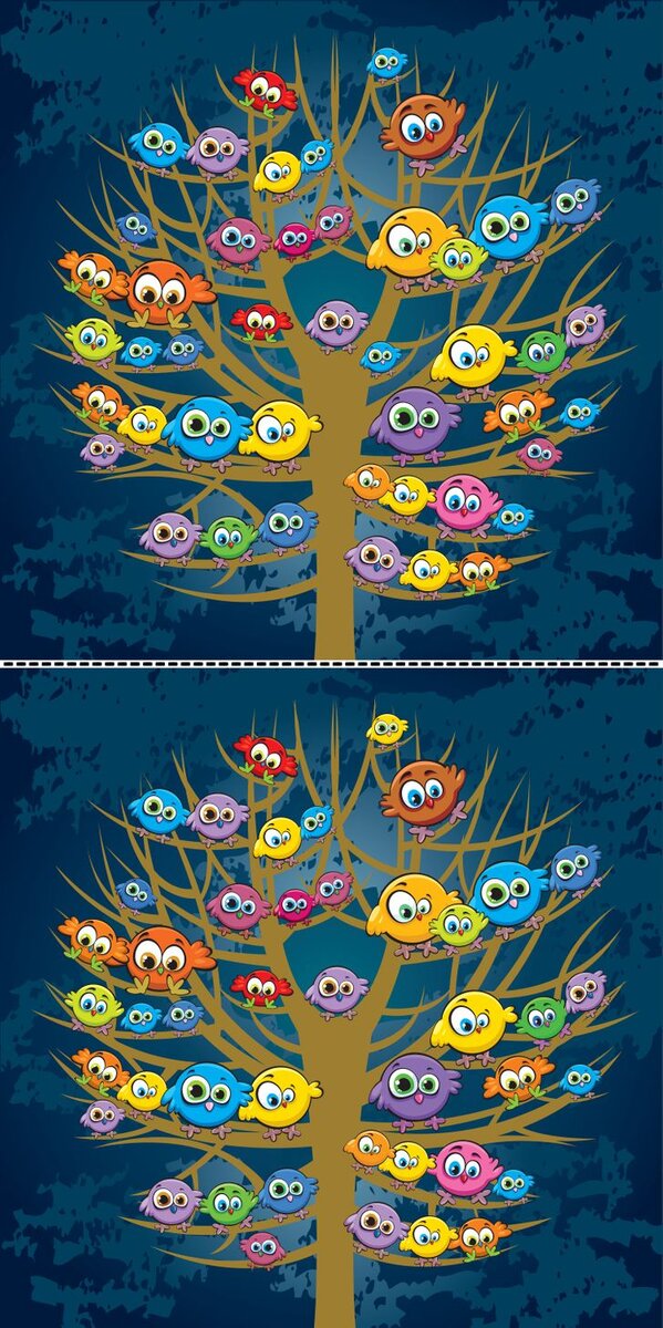 Вот такие странные птицы с любопытством смотрят на нас, но они спрятали 3 отличия. Удачного поиска дорогие друзья.