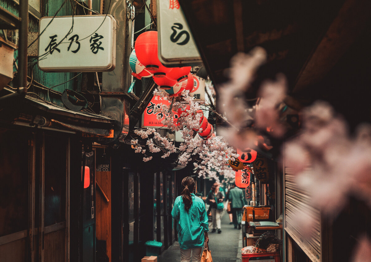 Улица. Рисовые фонарики. Сакура. Япония.