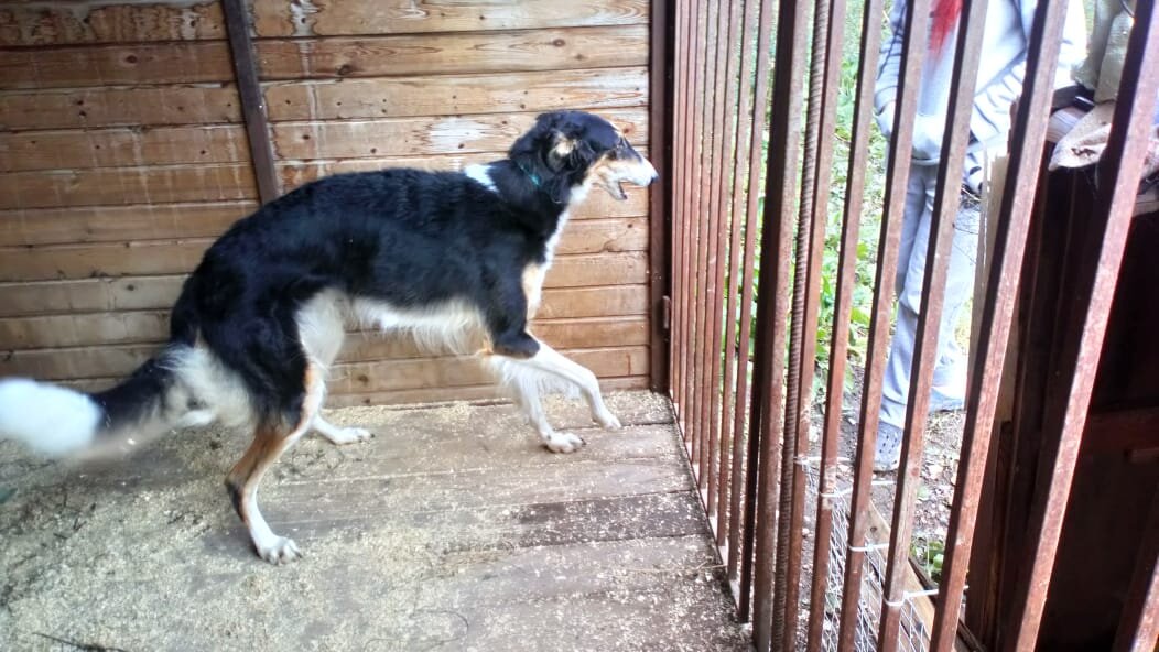 Личное фото автора